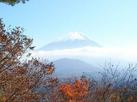 春の「富士山」を望む、ぜいたく登山コース！  3座縦走・展望の稜線あるき「三方分山＆パノラマ台」レポ！  下山後には「芝桜まつり」鑑賞もOK