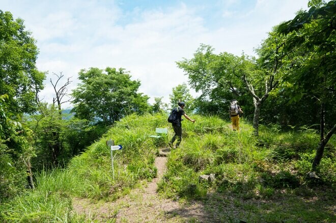 【6月に歩きたい首都圏近郊ハイキングルート】梅雨時の覚えておきたい新宿から1時間半の名低山「高川山」の画像010
