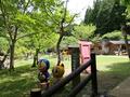 晴れた日には大阪湾まで眺望OK！  北摂山系最高峰「深山」山頂からのパノラマ絶景＆ご神体「深山宮」兵庫県立ささやまの森公園コース「登山レポ」の画像024