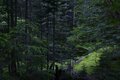 空へと吸い込まれていく黄色の絨毯。南アルプス最大のお花畑「荒川三山」を巡る【南アルプスの日々 vol.7】の画像001