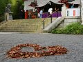 絶景フォトスポット満喫！「熱海」の女子旅「パワースポット・シーサイドビュー・大正ロマン建物」“夏に訪れたい魅力”レポの画像001