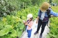 手軽にアクセス！  ファミリーで学べる北アルプスの「快適空間」＜長野県・栂池自然園＞の画像002