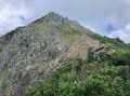 残暑を避けて登りたい「歩き出しから涼しい日帰りがっつりルート」 八ヶ岳・権現岳の画像019