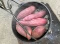 家族で「はじめてのキャンプ」成功に役立つ実践レポート！「目的地の決め方」と「2日間のスケジュールプラン」【家族でソトアソビ！vol.8】の画像010