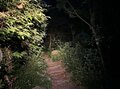 ライトを消せばホタルが宙に舞うグリーンの光！  川のせせらぎと幻想の世界「かたの里山ホタルハイク」へ【里山アドベンチャー！ソトアソ日和 vol.4】の画像008