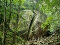 秋登山で狙いたい「アクセス良好」「紅葉の名所」の百名山！ 山梨県・瑞牆山「黄金と緑」強烈コントラストの異次元魅力の画像005