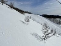 【渋滞回避】年末年始のスキー・スノーボード！ 日帰りで混雑を避けるベストは“意外な日”だった《群馬県》2022年