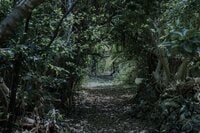 歴史ある「峠」では頻発？「不可解すぎる出来事」体験インタビュー！  観光コンテンツ事業スタッフに学ぶ「通る時に気をつけること」【寺娘の「地誌伝説」聞き語り】