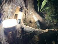 SDGsにも合致？  キャンプ初心者に「充電式LEDランタン」をおすすめしたい「3つの理由」とは？