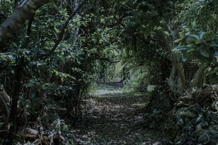 歴史ある「峠」では頻発？「不可解すぎる出来事」体験インタビュー！  観光コンテンツ事業スタッフに学ぶ「通る時に気をつけること」【寺娘の「地誌伝説」聞き語り】