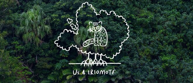 2.22（にゃんにゃんにゃんの日）世界自然遺産、太古から島に息づくキングオブ島猫「ヤママヤー」【琉球島猫百景〈特別編〉沖縄県・西表島】の画像007