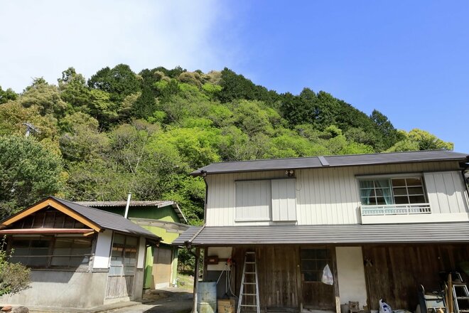 【NHK大河『豊臣兄弟！』ゆかりの城】ド肝抜く「主郭の大堀切」は、ほんの始まり…「土佐国・内田城〈前編〉」（高知県東洋町）【戦国の山城を攻める vol.11】の画像004