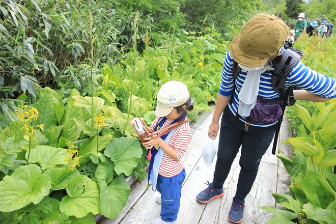 手軽にアクセス！  ファミリーで学べる北アルプスの「快適空間」＜長野県・栂池自然園＞の画像002