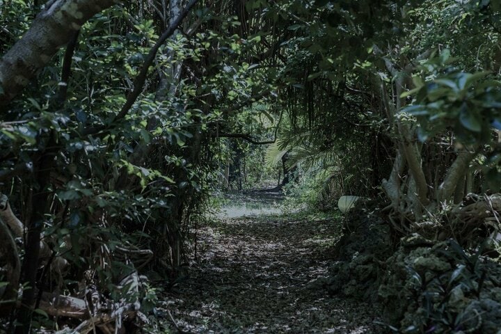 歴史ある「峠」では頻発？「不可解すぎる出来事」体験インタビュー！  観光コンテンツ事業スタッフに学ぶ「通る時に気をつけること」【寺娘の「地誌伝説」聞き語り】 