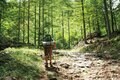 「甲武信ヶ岳」奥秩父の名峰は潤いたっぷり！ 日本一の河川「千曲川」源流沿いを歩く絶景登山【首都圏発！週末に行ける百名山ガイド vol.1】の画像002