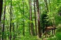 【御柱祭だけじゃもったいない！】諏訪にせっかく来たら足を延ばしたい『君の名は。』の聖地「立石公園の脇っちょ」がいま素晴らしい！の画像002