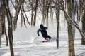 【舞子スノーリゾート】「塩沢石打ICから1分」のエリアに広がる極上雪山リゾート（新潟県）の画像004