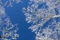 「五百円紙幣の撮影地」富士山のベストビュースポット “雁ヶ腹摺山” ってどんな山！？の画像004