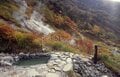 10月初旬「北アルプス紅葉」は蓮華温泉から白馬大池まででもOK！  登山デビューの頃におすすめされたコース「錦秋の登山道＆野天風呂」レポの画像009