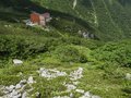 秘境のお花畑！　花の百名山　中央アルプス、三ノ沢岳の画像008