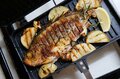 “挟んで焼く” だけで「ご馳走キャンプ飯」が作れる魔法の調理道具！「キューバサンドメーカー」使い方のポイント教えます＜後編＞の画像009