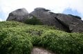 【世界自然遺産・屋久島】九州最高峰の「宮之浦岳」へ！  日本最南端の高層湿原「花之江河」を抜け、洋上のアルプスに臨むの画像014