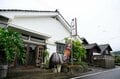 【鹿児島県 指宿市】施設見学めぐりが楽しい！  廃校リノベの「ブルワリー」＆ 歴史ある「焼酎蔵」＆ 特産品の「かつお節工場」 さらに「日本最南端の駅」にも立ち寄りの画像013