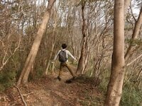 「冬のハイキング」に向く山の条件とは？  都心からもアクセスしやすい茨城県「雪入山」から眺める「絶景の筑波山」