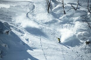 「パウダーを狙うために良い時、良い場所を知る」岐阜･飛騨高山エリア攻略法【高井隆司～Home Mountain vol.5】