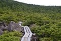 アクセス抜群！  神秘の苔むす森にたたずむ「白駒池」＜北八ヶ岳＞の画像007