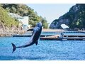 開創1200年 お寺でテントが張れる？  座禅や写経もできる「テンプルキャンプ」体験【絶景キャンプ場ガイド-言葉を失うほどの風景に会いに行こう- vol.37】の画像007