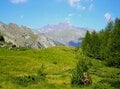 イタリアアルプスの最高峰・グランパラディーゾ（大いなる楽園）の人気トレッキングルート「リッラズの滝」から「ロイエ湖へ」【ブーツの国の街角で vol.15】の画像007