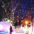 ドラマ『北の国から』やラベンダーだけじゃない！「気球・ダイヤモンドダスト・神雪」冬の北海道・富良野「5つの魅力」の画像005
