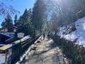 警報級の大雪で「人気の低山ルート」はどうなった！？  2024年2月初旬「御岳山」武蔵御嶽神社・天狗岩・ロックガーデン【現地レポ】の画像002