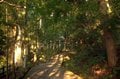 もはや登山！  異名は「山寺」の山形市『立石寺』1015段を1時間かけて登った果ての「異次元の絶景」とは？の画像002