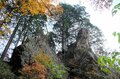 ”紅葉シーズン最終盤” お見逃しなく！「御岳山」の紅葉事情＆スポット最新レポートの画像006