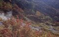 10月初旬「北アルプス紅葉」は蓮華温泉から白馬大池まででもOK！  登山デビューの頃におすすめされたコース「錦秋の登山道＆野天風呂」レポの画像004