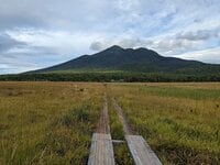 「上と下から2回見る」秋の尾瀬！ 「黄金色」湿原散歩＆燧ヶ岳登山！  見ごろ「草紅葉」1泊2日レポ