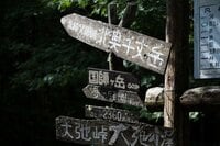 【首都圏近郊の穴場ルート】二百名山にも選ばれていない奥秩父の最高峰「北奥千丈岳」＜山梨県・奥秩父＞