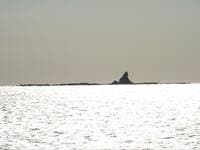オフシーズンに訪れたい「湘南エリア」 茅ヶ崎＆江の島ほか「NO混雑」でまわる「絶景ドライブ」スポットガイド