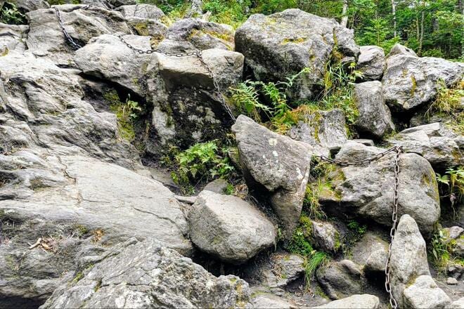 八ヶ岳北端にそびえる「蓼科山」 七合目から山頂往復ハイキング！  神聖な山で瑞々しい「苔」と大きな「岩」を堪能「日帰り登山レポ」の画像006