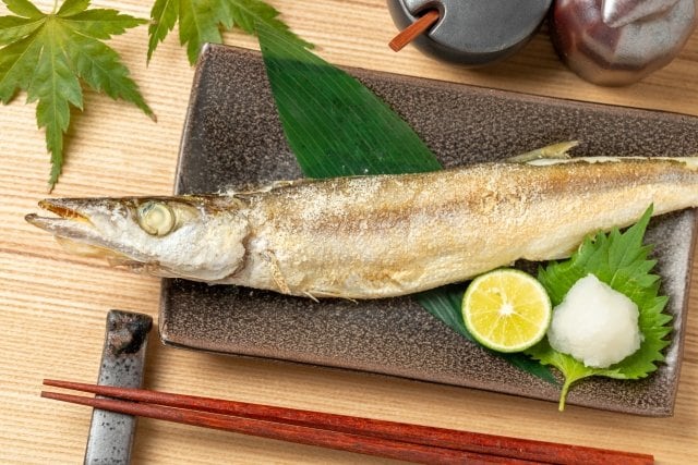 秋から冬が旬の「アジングロッドで狙える魚」3選！  初心者にもおすすめ「30cm未満」「分かりやすい反応」「美味しい」でターゲット選定の画像002