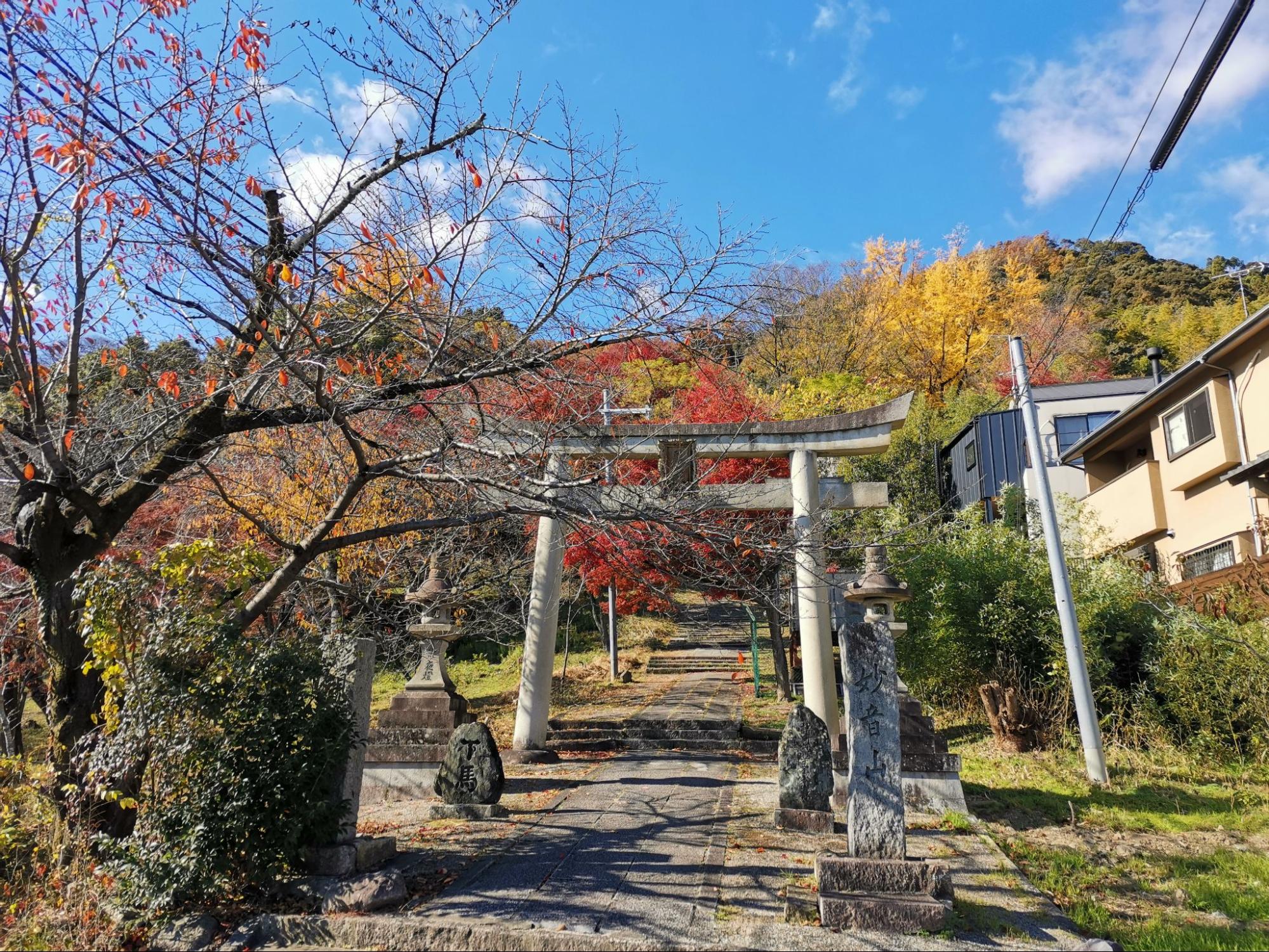 駅から日帰り「天王山」ハイキング! 絶景の“ラスト紅葉”「山崎聖天」&歴史ファン必見「天下分け目」の地「実踏レポ」|登山|レポート|BRAVO ...