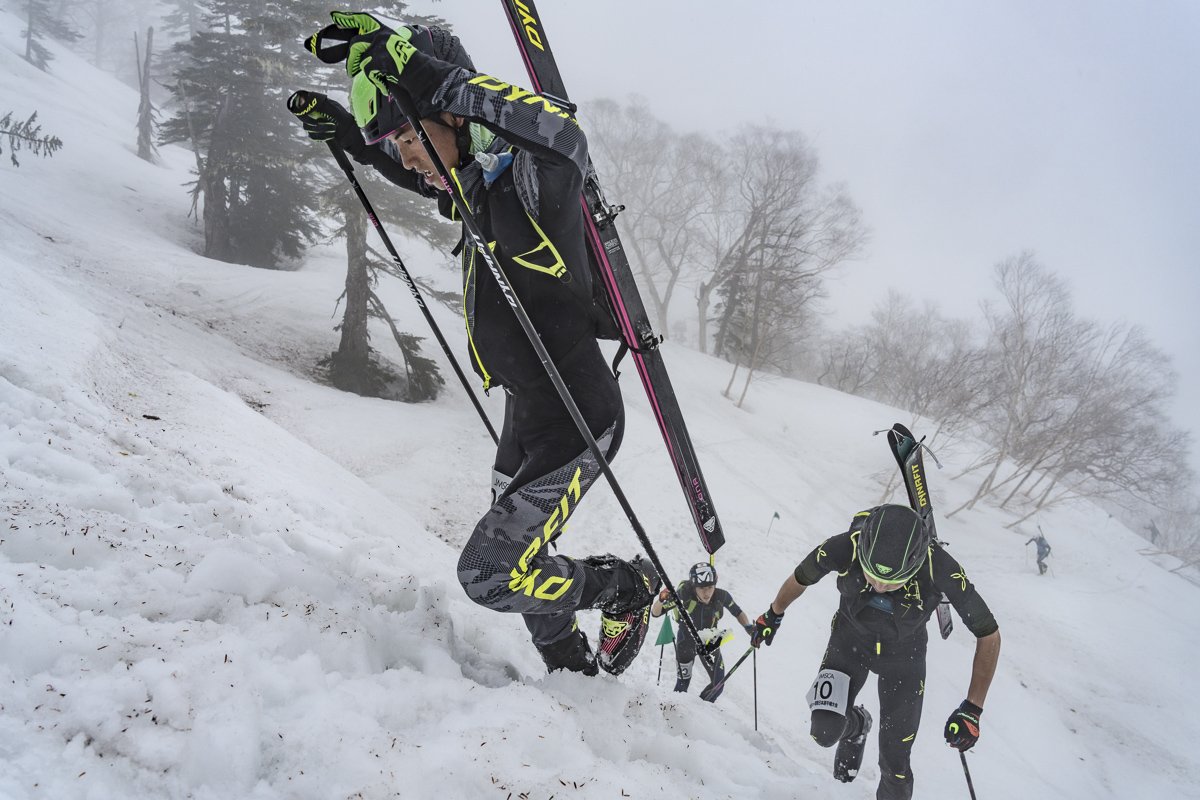 SKI TRAB 156cm 山スキー PIUMA 兼用 雪 - スキー