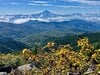 【気になる紅葉の進み具合】人気の百名山「金峰山」 色づき具合をレポート＜2026年9月連休明け＞