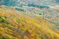 カラフルな「紅葉登山」旅！「 写活ハイク」で火打山の魅力を満喫【2021年・秋】山歩きインスタグラマーhykemika-yの画像010