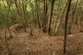大堀切＆U字連結竪堀！  小城ながらピリリと辛い二大必見ポイント　石見国・周布城〈後編〉（島根県浜田市）【戦国の山城を攻める vol.02】の画像013
