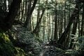 標高2,150ｍ「日本最高所の露天風呂」からのご来光絶景！  八ヶ岳「本沢温泉」で “湯ったり” テント泊「登山レポ」の画像007