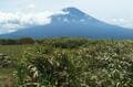夏も絶景！ 初日の出「ダイヤモンド富士」の名山「竜ヶ岳」からの「富士山」大展望！ 登山口のある「本栖湖キャンプ場」から3時間「登山レポ」の画像001