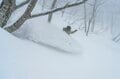 “隠れ家的バックカントリー”  新潟・長野の県境にひっそりと佇む「一難場山」へ   雪景色の森を歩き、ブナの巨木の間を抜けて滑る気持ちのいいルート！【新潟県糸魚川市 2025年】の画像006